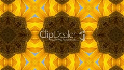 Sunflower kaleidoscope
