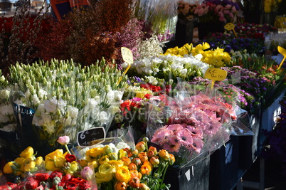 farbenfroher Blumenstand am Markt