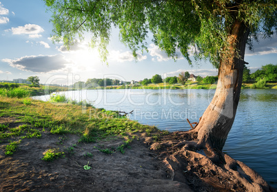 View on river