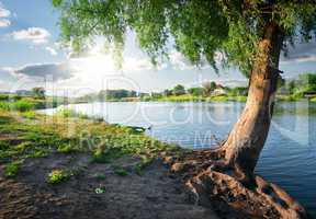 View on river