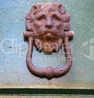 abstract   brass brown knocker    closed wood door olgiate olona