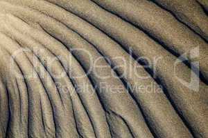 abstract texture of a  dry sand and