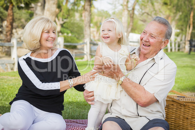 Affectionate Granddaughter and Grandparents Playing At The Park