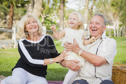 Affectionate Granddaughter and Grandparents Playing At The Park