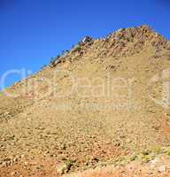 the    dades valley in atlas moroco africa ground tree  and nobo