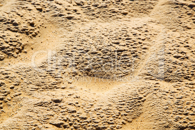 brown dry sand in sahara