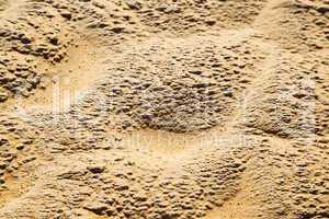 brown dry sand in sahara