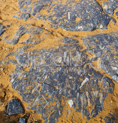 old fossil in  the desert of morocco sahara and rock  stone sky