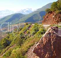 the    dades valley in atlas moroco africa ground tree  and nobo