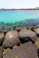 white coast lanzarote  in hotel water  and summer