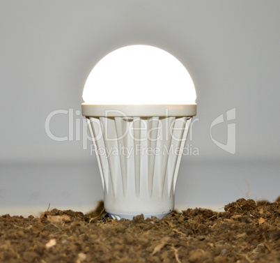 Bulb