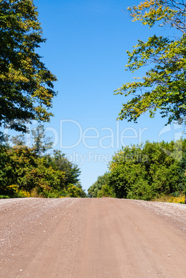 Empty dirt road rising against trees and sky