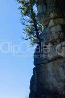Vertical cliff with single tree on sky