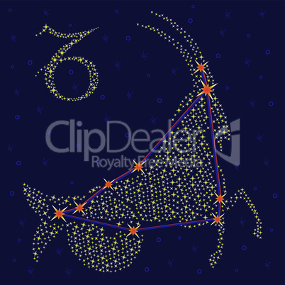 Zodiac sign Capricorn over starry sky
