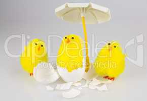 3 küken im Ei mit Sonnenschirm