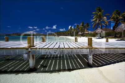 mexico isla  contoy