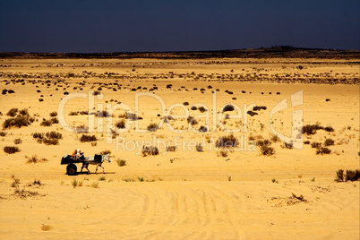 people in the desert of tunisia