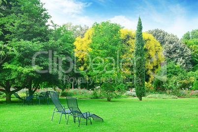 Lounge chairs for relaxing in the summer park