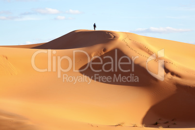 Sand dune in the desert of Morocco