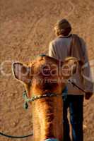 man and camel