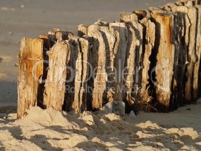 Buhnen am Strand