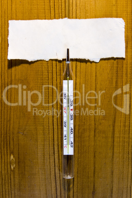 Mercury thermometer