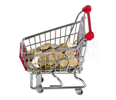 Shopping Cart with money