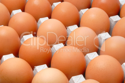 Eggs in cardboard packing