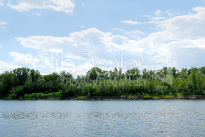 Wood on river coast