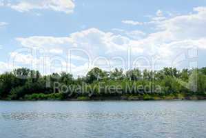 Wood on river coast