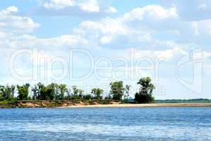 Wood on river coast