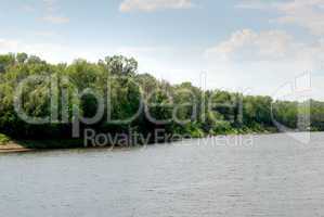 Wood on river coast