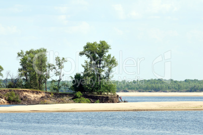 Wood on river coast