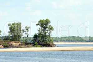 Wood on river coast