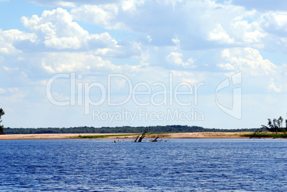 Wood on river coast