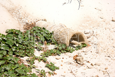 Sculptures from sand