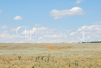 Trees in the field