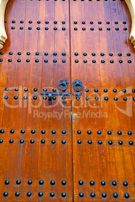 grey metal rusty      morocco in   facade home and safe padlock