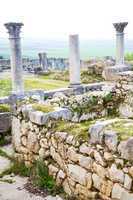 volubilis in morocco africa the old   monument and site