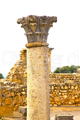 volubilis in morocco africa   deteriorated monument and site