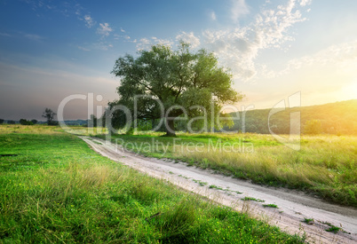 Footpath in field