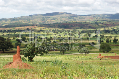 Landschaft nahe Yabelo, Sidama, Äthiopien, Afrika