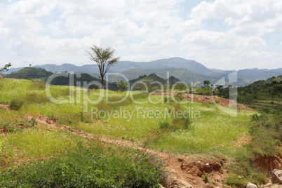 Terrassenfelder der Konso, Äthiopien, Afrika