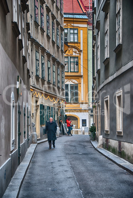 VIENNA - JAN 6: Tourists along city streets, January 6, 2010 in