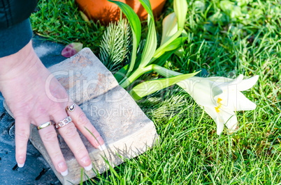 Hand, Grabstein, Friedhof