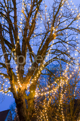 Baum mit Lichterkette