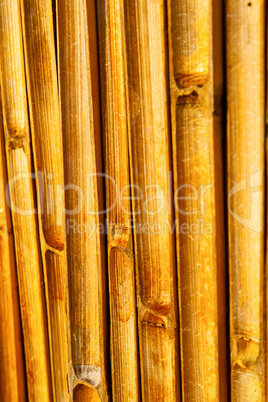 abstract cross bamboo in the temple kho   south