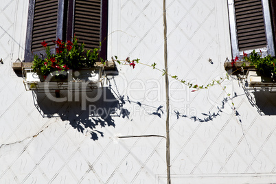 red terrace europe      in  the milano   window  flower