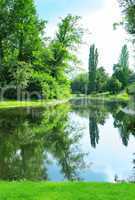 scenic lake in the summer park