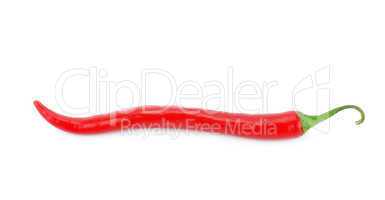 chili pepper isolated on a white background